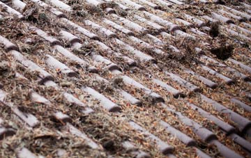 Queens Island roof cleaning companies