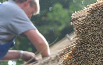 professional Queens Island thatchers